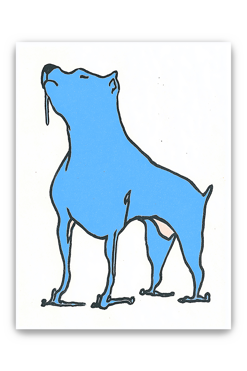 blue dog