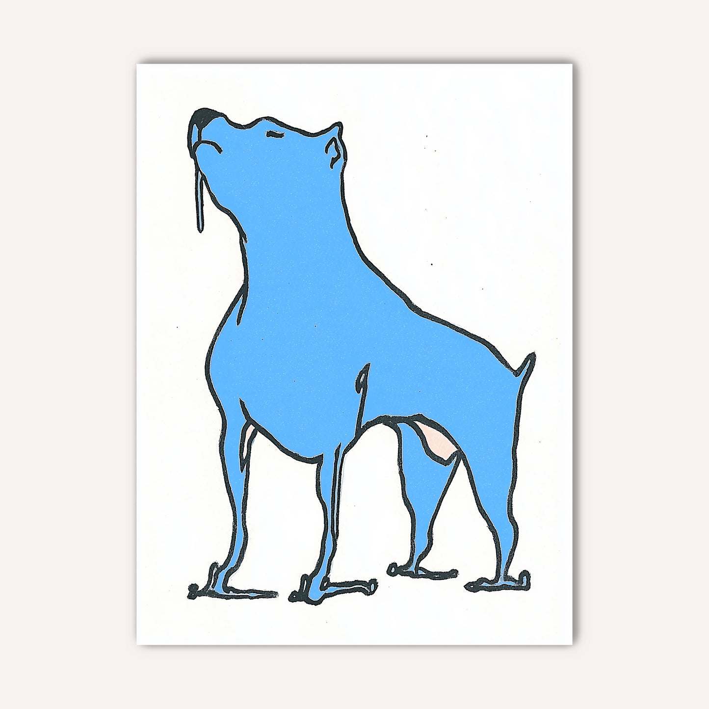 blue dog