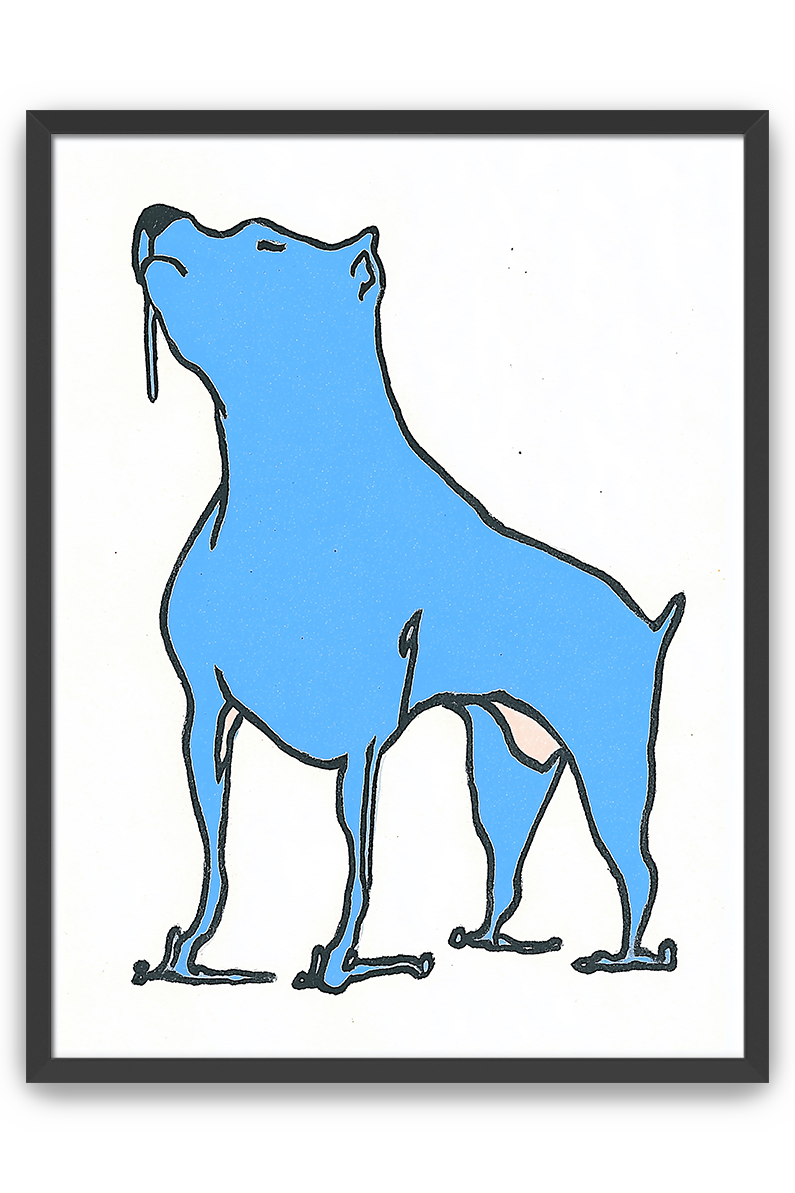 blue dog
