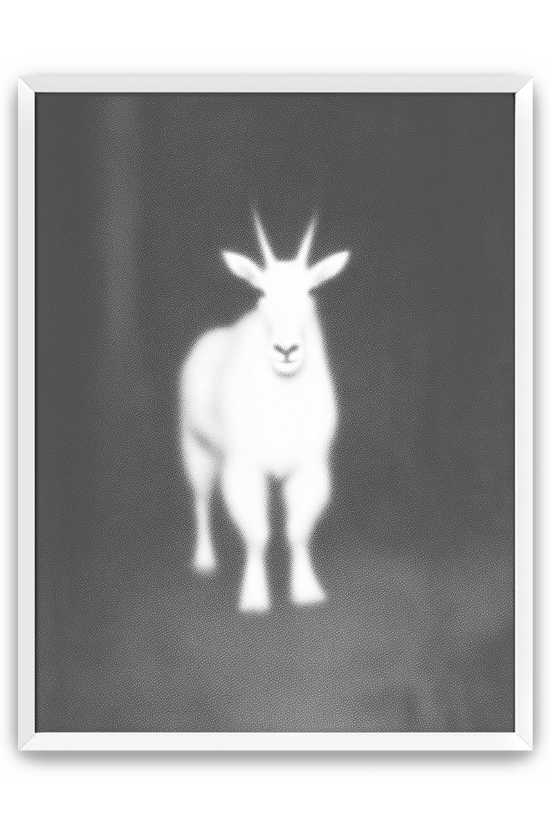 goat