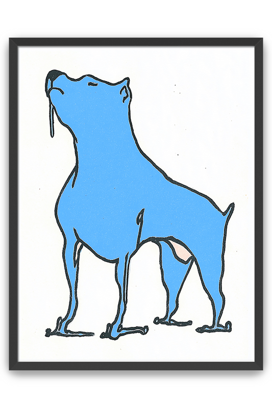 blue dog